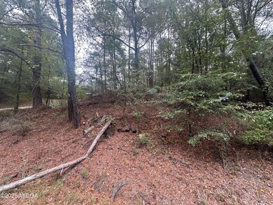 87 Highway 87, Forsyth, GA 31029 - photo 3