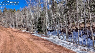 542 Vivenda Rd, Cripple Creek, CO 80813 - photo 7