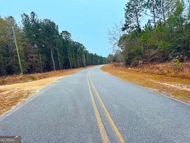 0 Jw Miller Rd unit 10655806, Reynolds, GA 31076 - photo 7