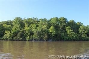 View to the right of the lakefront property