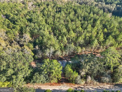 0 Rd unit 10658032, Pembroke, GA 31321 - photo 3