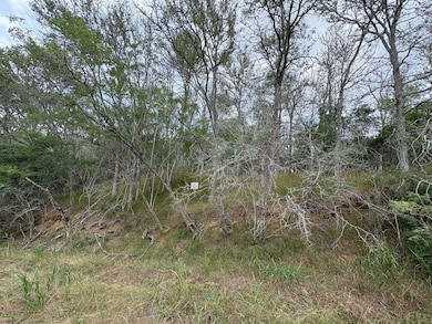 View of nature