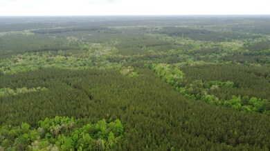 0 Pugh Rd, Shubuta, MS 39360 - photo 4