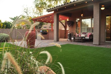 Backyard Oasis
