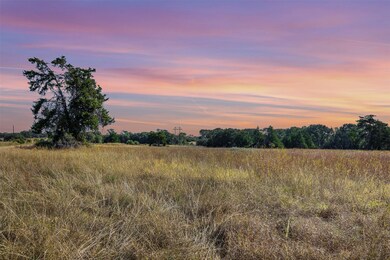 TBD-6 Greenvine Rd, Brenham, TX 77833 - photo 5