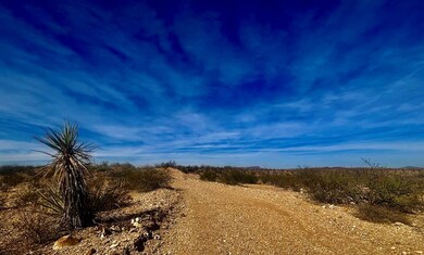 622 Marathon Rd, Terlingua, TX 79852 - photo 3
