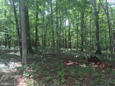 11908 Ridgemont Rd, Lutherville Timonium, MD 21093 - photo 4