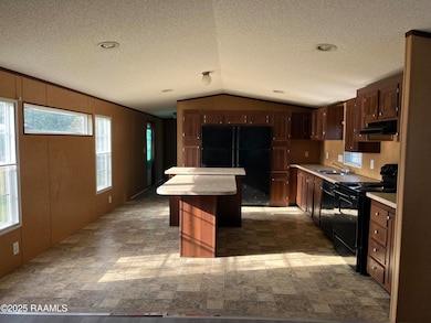 1156 Clayton Castille Rd unit Lot 4, Breaux Bridge, LA 70517 - photo 6