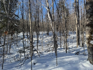 Lot 7 Curtis Farm Rd, Lincoln, ME 04457 - photo 6