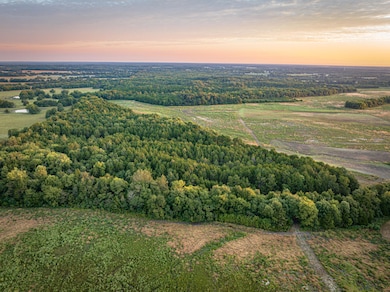 0 Mississippi 47, West Point, MS 39773 - photo 3