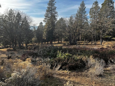 Lot 29 Siskin Ln, Klamath Falls, OR 97601 - photo 3