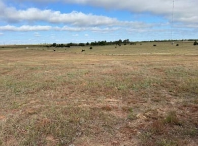 0 County Road 202 & 43 unit 20251565, Woodward, OK 73801 - photo 2