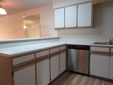Lakefront Condo Kitchen