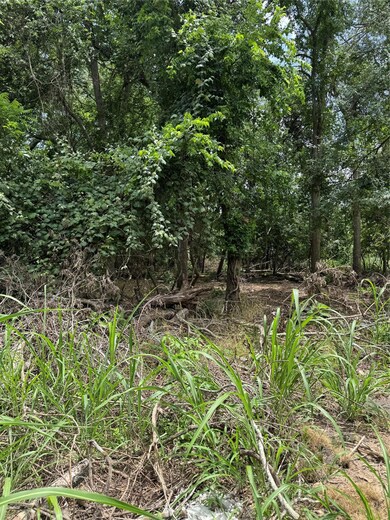 View of undeveloped land