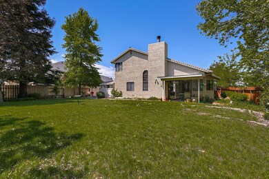 Look at this backyard!