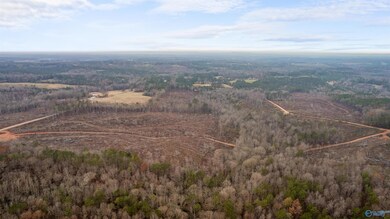 151.13 Acres County Road 673, Roanoke, AL 36278 - photo 4