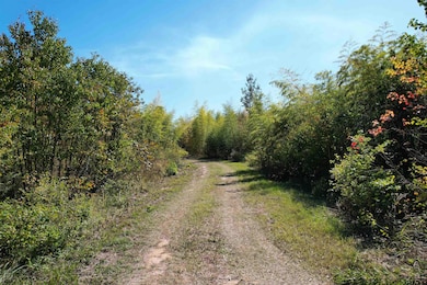 456 Marshall Ivy Rd, Huntington, TX 75949 - photo 5