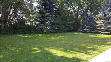 Backyard.