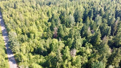 15130 Runyon Rd SE, Yelm, WA 98597 - photo 2