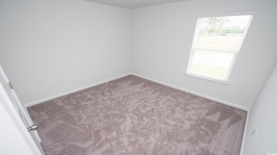 Carpeted empty room with a wealth of natural light