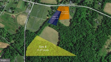 Lot 6 LOT 6 Hillsboro Rd, Blue Ridge, VA 20132 - photo 4