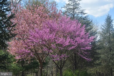 16729 Gorsuch Mill Rd, Upperco, MD 21155 - photo 5