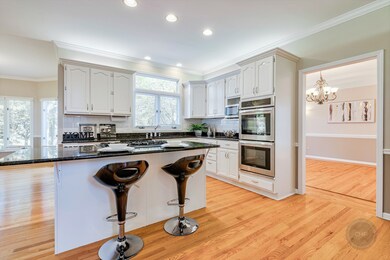 1611 Grommon Rd, Naperville, IL 60564 - photo 7