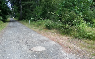 0 E Blackwell St unit 1317350, Allyn-Grapeview, WA 98524 - photo 3