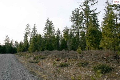 NNK B5 Northern Sky Rd, Athol, ID 83801 - photo 4