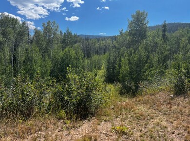 Actual land Lot 102
