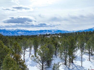 Lot 28 Fisher Canyon Dr, Ridgway, CO 81432 - photo 4