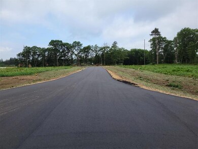 LOT 7 Retriever Rd, Crosslake, MN 56442 - photo 4