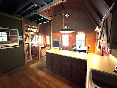 241 Walnut Mountain Rd, Ellijay, GA 30536 - photo 4