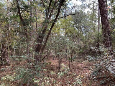 View of some of the trees currently on the propert