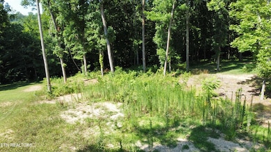 dji_fly_20250714_105444_955_175250492218