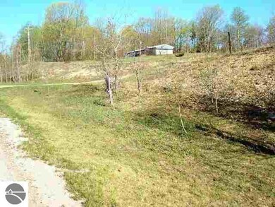 Huffman Lake Rd, Vanderbilt, MI 49795 - photo 4