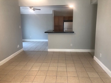 Open living and kitchen areas