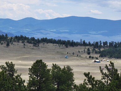 1051 Arapahoe Trail, Hartsel, CO 80449 - photo 6