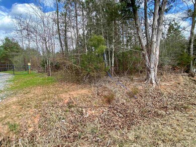 4879 Cross Anchor Rd, Enoree, SC 29335 - photo 3