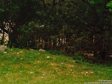 12311 van de Carr, Helotes, TX 78023 - photo 5