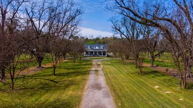 9585 Old Ga Highway 3, Baconton, GA 31716 - photo 6