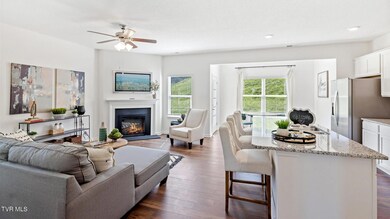 250 Artist Ave, Johnson City, TN 37615 - photo 4