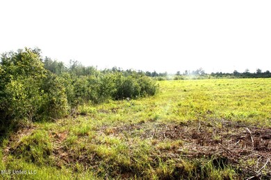 0 Lake Rd, McHenry, MS 39561 - photo 2