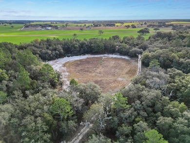 10431 NE 32nd Ln, Bronson, FL 32621 - photo 7