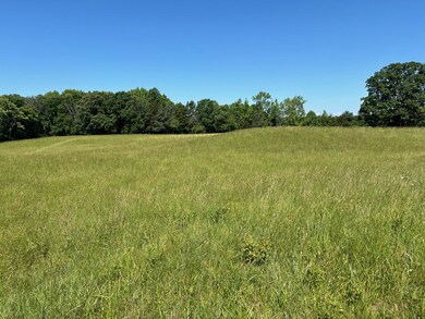 13.16 Ac Coles Chapel Rd, Sparta, TN 38583 - photo 3