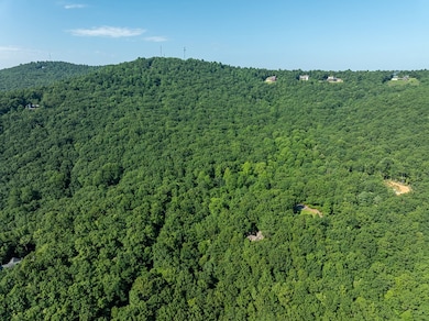 1298 Cold Stream Trail, Big Canoe, GA 30143 - photo 4