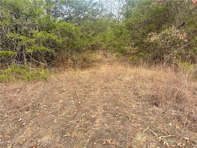 01 Arkansas 96, Cecil, AR 72930 - photo 6