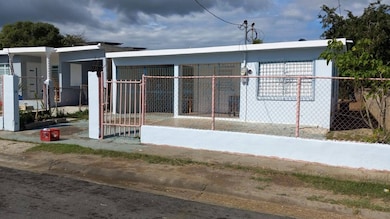 #91 Calle Facundo Alicea Ext San Felipe, Salinas, PR 00704 - photo 2