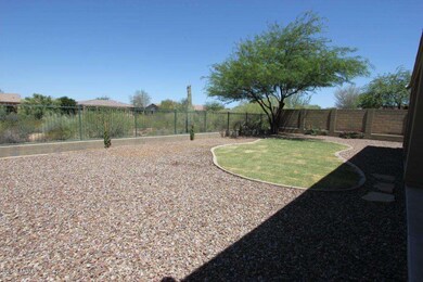 backyard2