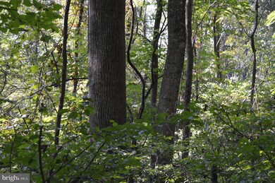 0 Freezeland Rd unit VAWR141562, Linden, VA 22642 - photo 5